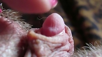 Intense Close-Up Of My Large Clitoris Throbbing